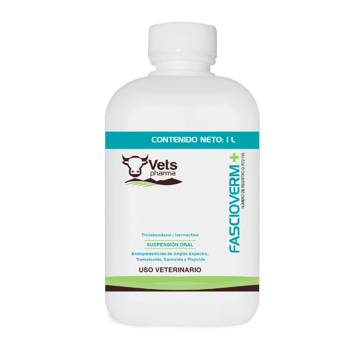 YDRAY-artes_FASCIOVERM-copia