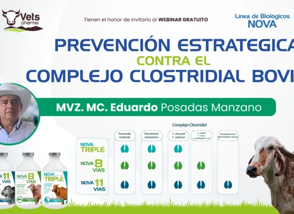 Portada-YT-Eduardo-Posadas (1)