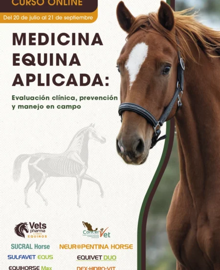 Portada equinos